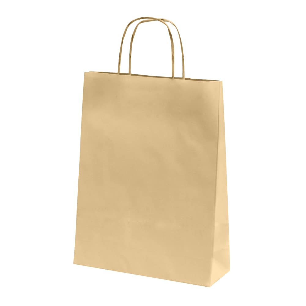 50 sacs kraft Brun Poignées Torsadées – Image 4