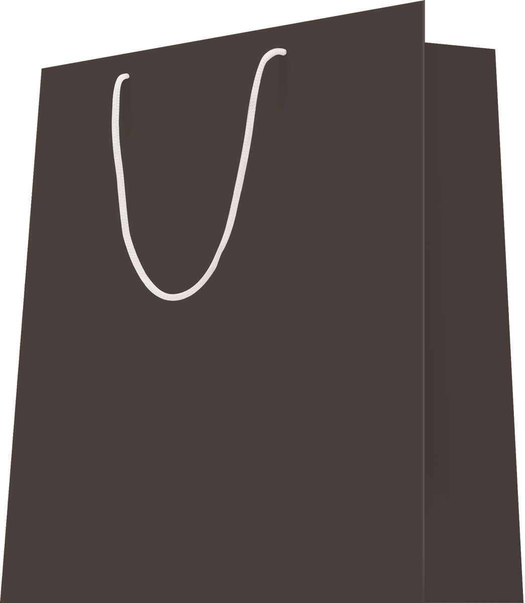 20 luxuriöse Tragetaschen mit Griffen aus schiefergrauem Kordelmaterial, L26+T13xH32, 180 g