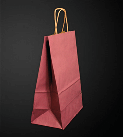 Plum kraft paper bag L22xD10xH29 cm x50