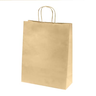 50 Brown Kraft Paper Bags with Twisted Handles