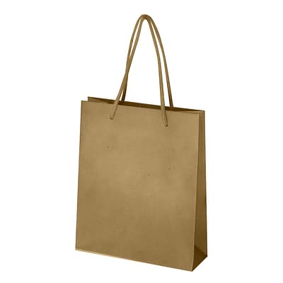 Customizable Natural Raw Luxury Coated Bag