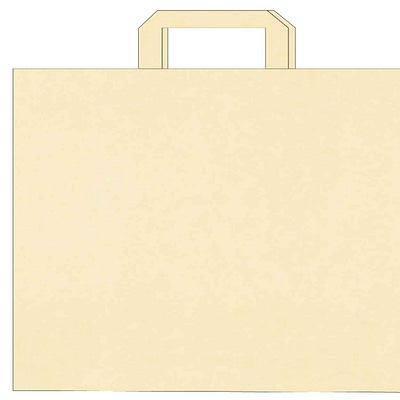 Kraft paper bags with flat handles – Four-color printing