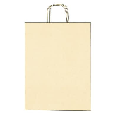Kraft paper bags with twisted handles – 2-color printing
