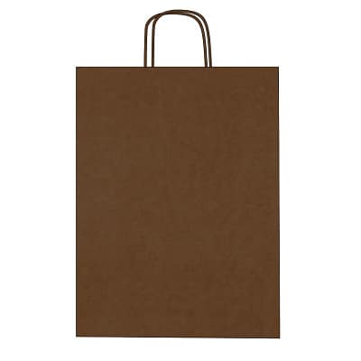 Colorful kraft paper bags with twisted handles – Custom printing
