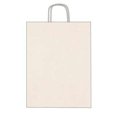 Kraft paper bags with twisted handles – 1-color printing