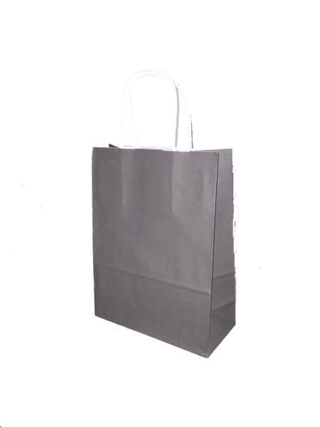Sac papier kraft Taupe L18xP8xH24 cm x50