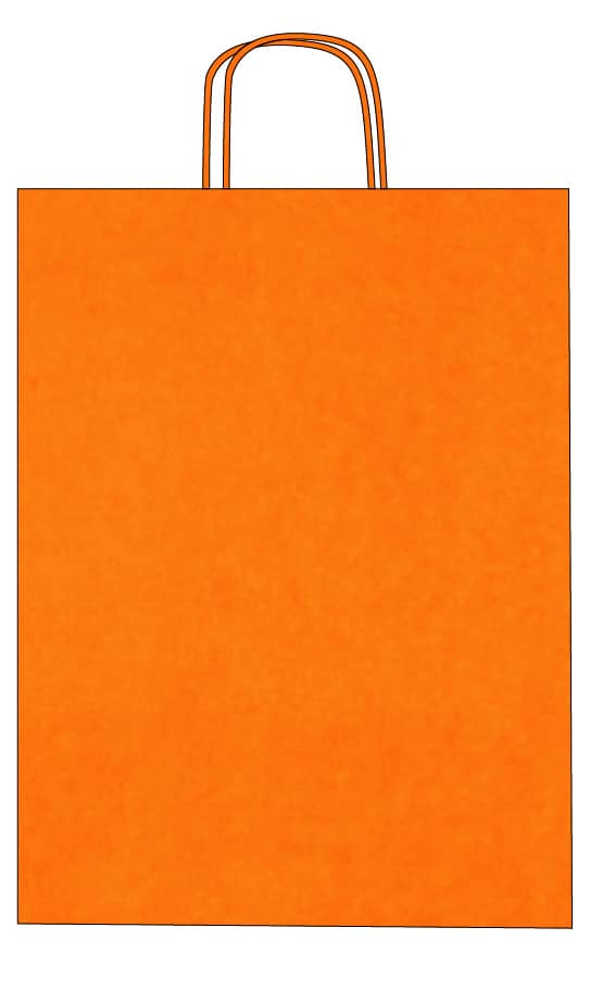 Colorful kraft paper bags with twisted handles – Custom printing – Image 21