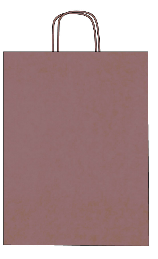 Bunte Kraftpapiertüten mit gedrehten Henkeln – Individueller Druck – Bild 15