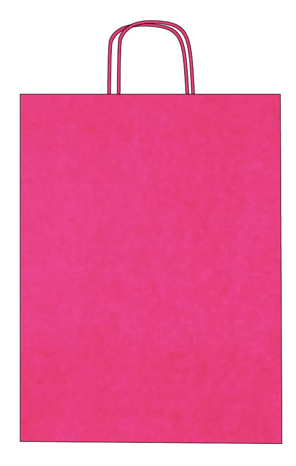 Colorful kraft paper bags with twisted handles – Custom printing – Image 17