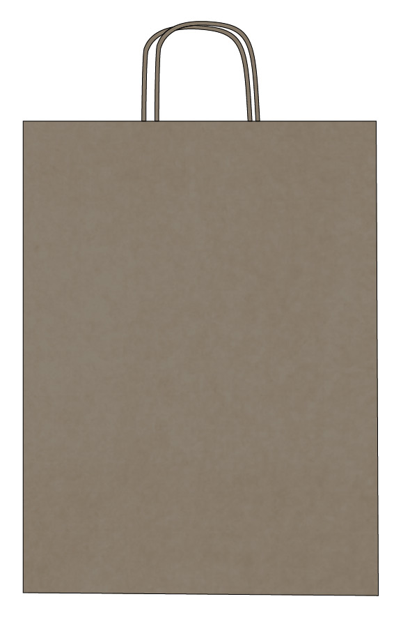 Colorful kraft paper bags with twisted handles – Custom printing – Image 18