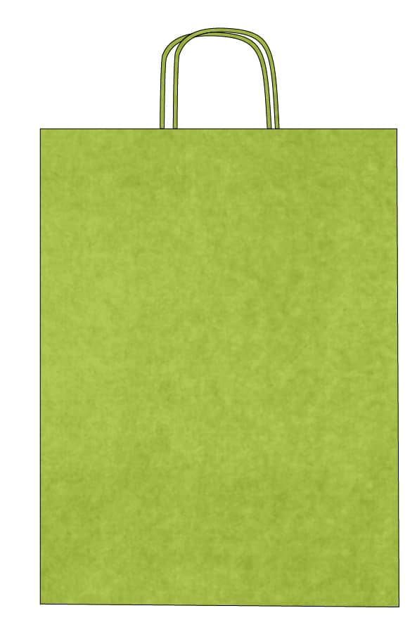 Colorful kraft paper bags with twisted handles – Custom printing – Image 23