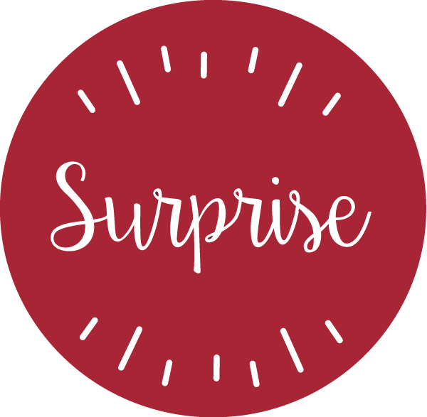 500 Étiquettes "Surprise"