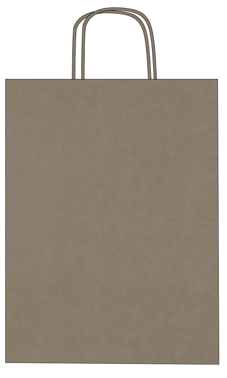 Colorful kraft paper bags with twisted handles – Custom printing – Image 28