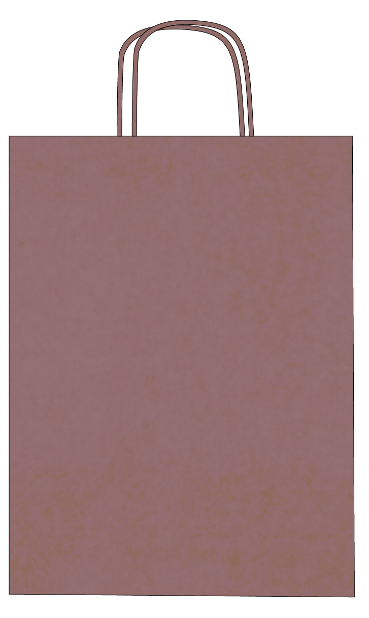 Colorful kraft paper bags with twisted handles – Custom printing – Image 25