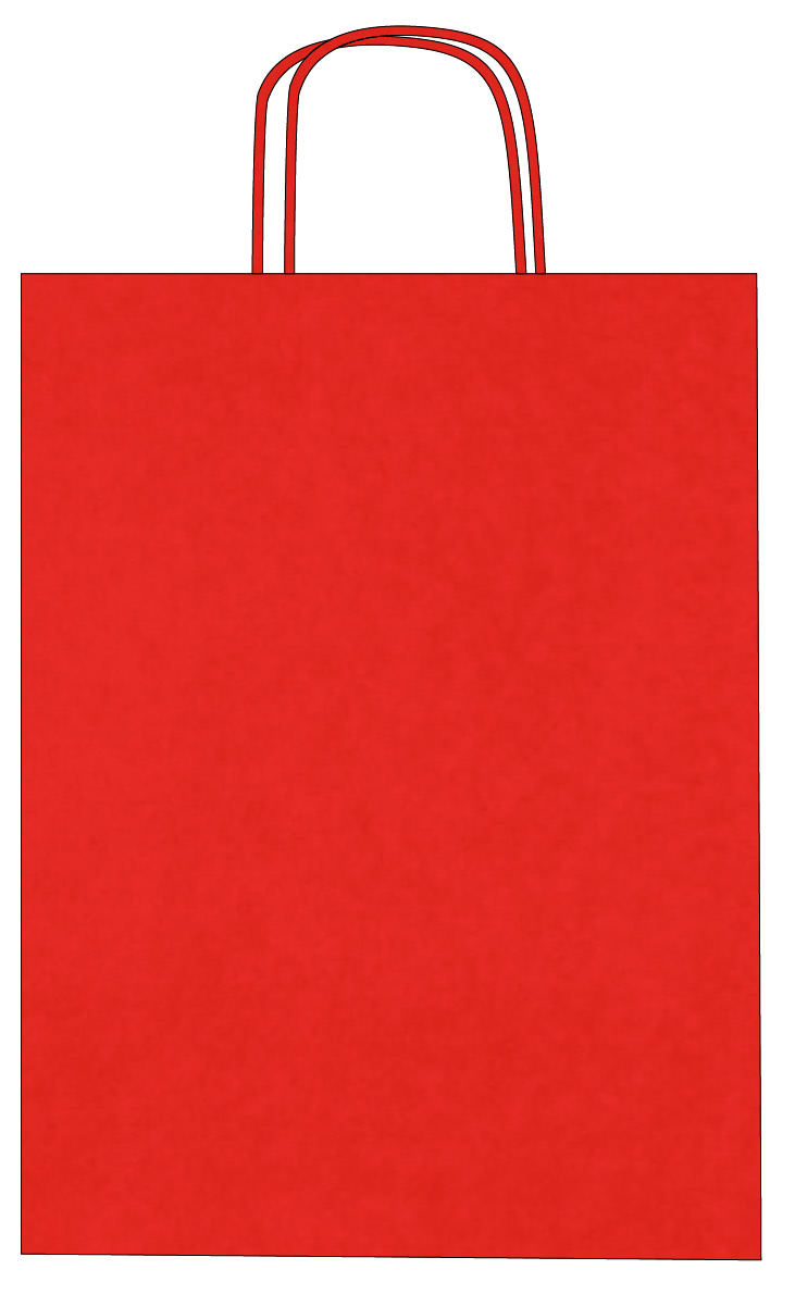 Colorful kraft paper bags with twisted handles – Custom printing – Image 32