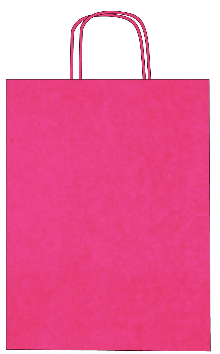 Bunte Kraftpapiertüten mit gedrehten Henkeln – Individueller Druck – Bild 27