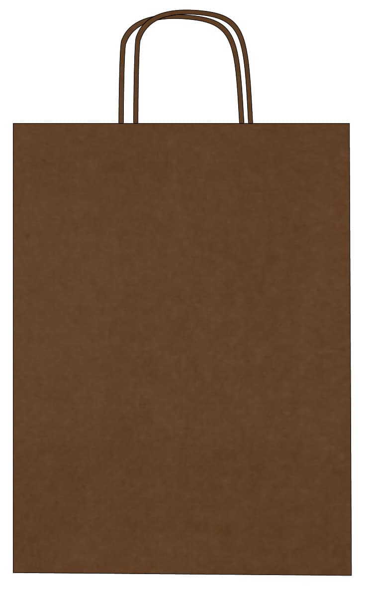 Colorful kraft paper bags with twisted handles – Custom printing – Image 26