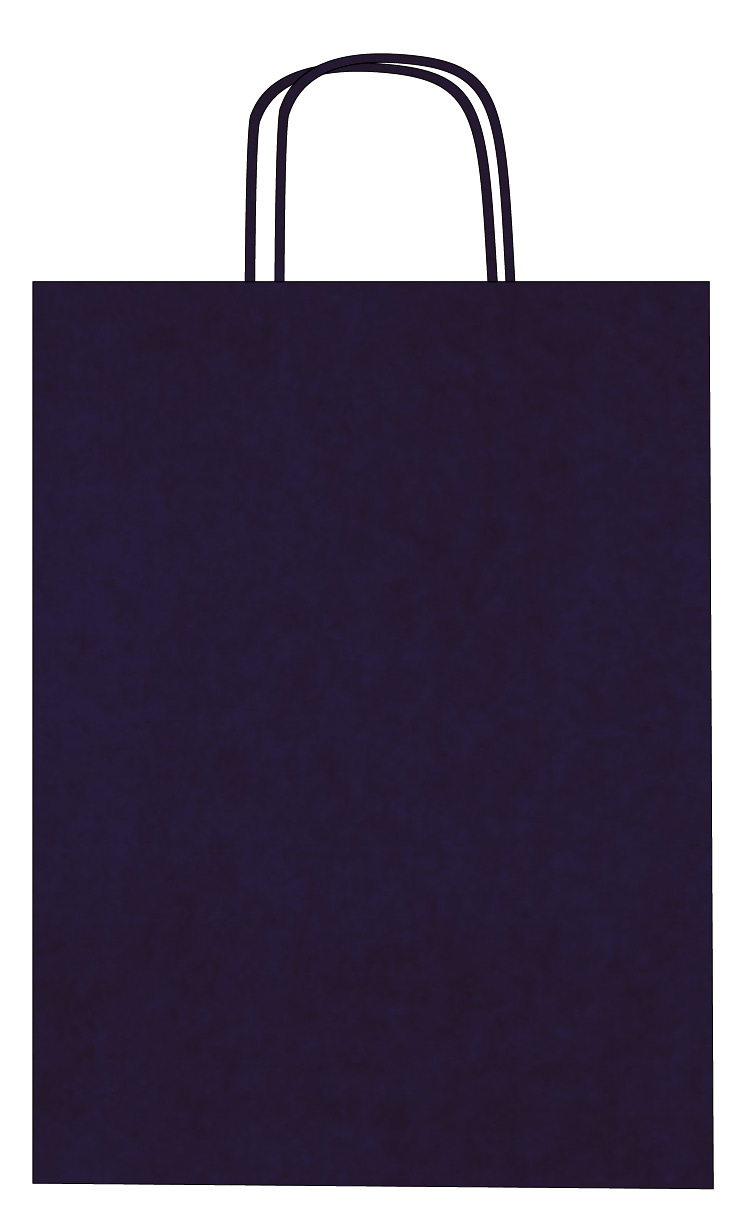 Colorful kraft paper bags with twisted handles – Custom printing – Image 24