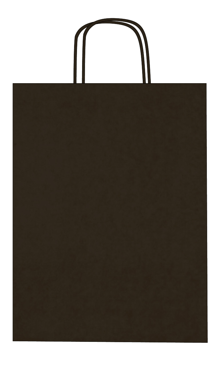 Colorful kraft paper bags with twisted handles – Custom printing – Image 30