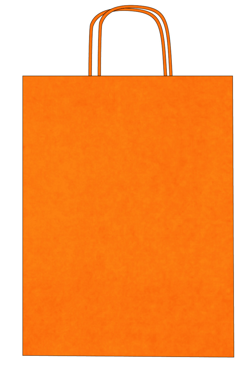 Colorful kraft paper bags with twisted handles – Custom printing – Image 31