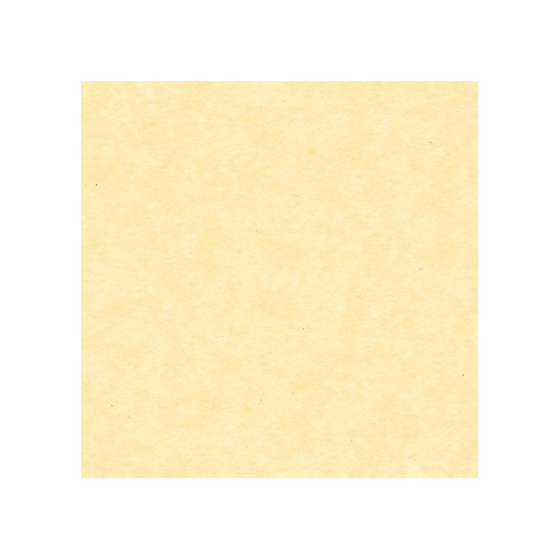 Papier de soie 50x75 cm – Image 14