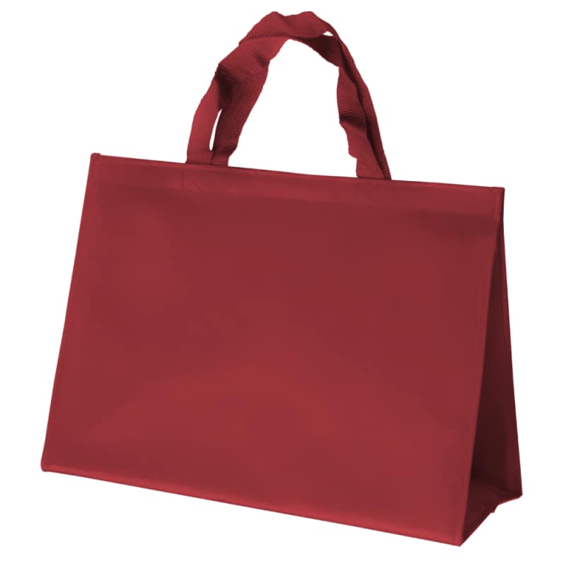 Customizable woven polypropylene insulated bag, small model – Image 2