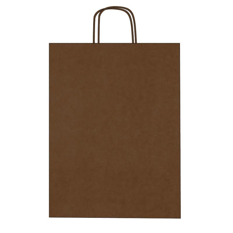 Colorful kraft paper bags with twisted handles – Custom printing