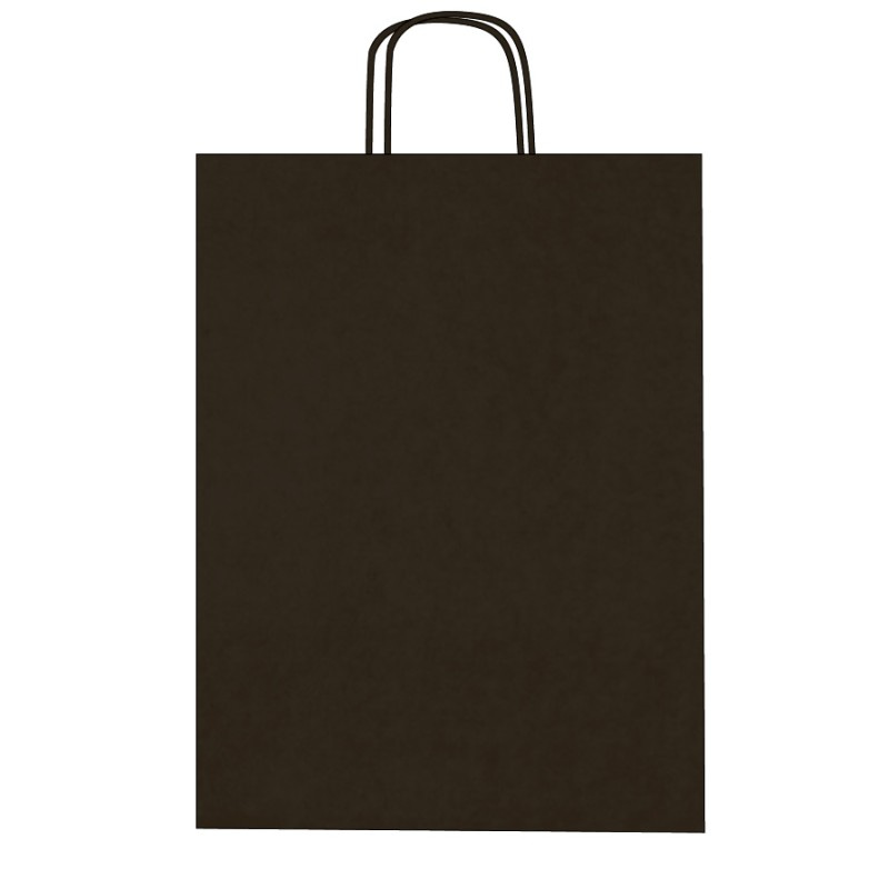 Colorful kraft paper bags with twisted handles – Custom printing – Image 10