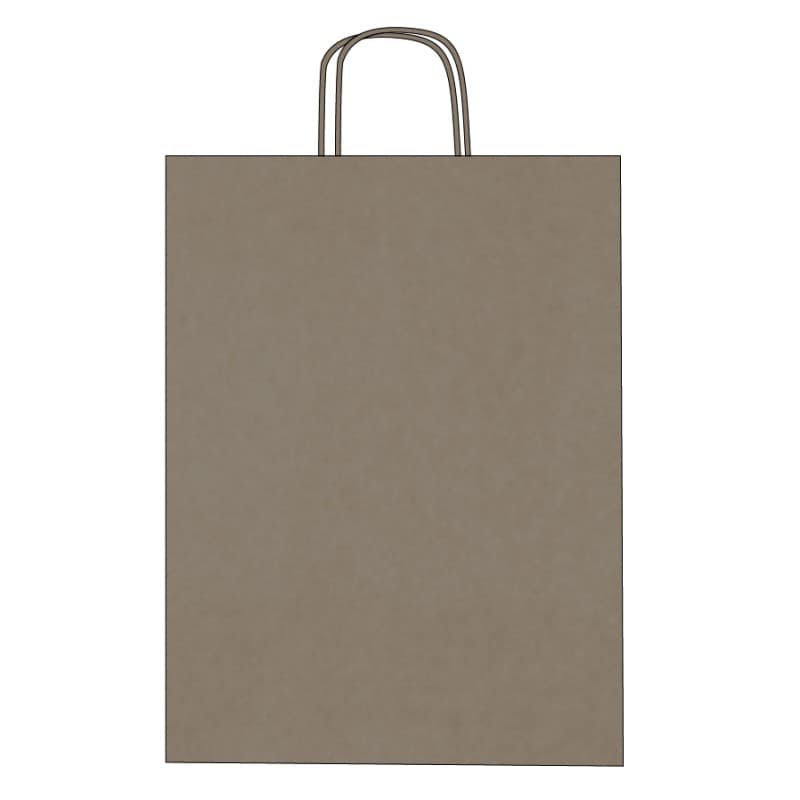 Colorful kraft paper bags with twisted handles – Custom printing – Image 2