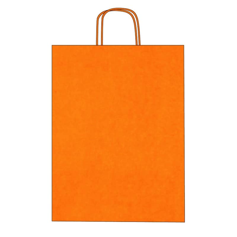 Colorful kraft paper bags with twisted handles – Custom printing – Image 4