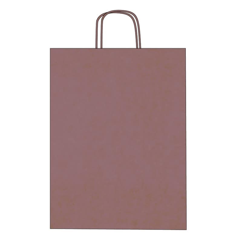 Colorful kraft paper bags with twisted handles – Custom printing – Image 5