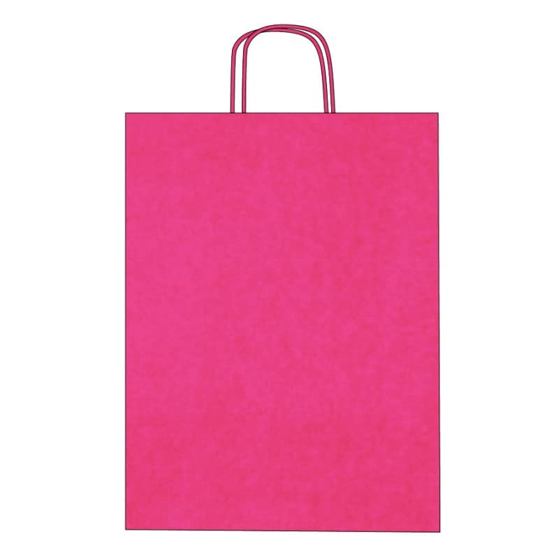 Colorful kraft paper bags with twisted handles – Custom printing – Image 6