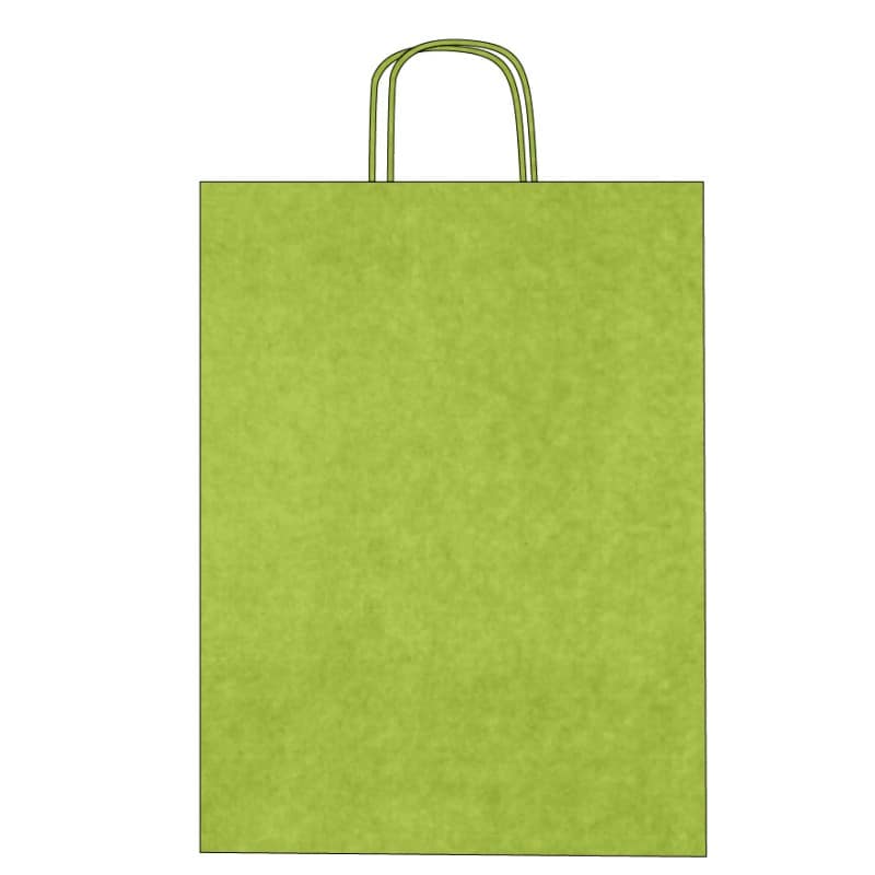 Colorful kraft paper bags with twisted handles – Custom printing – Image 8